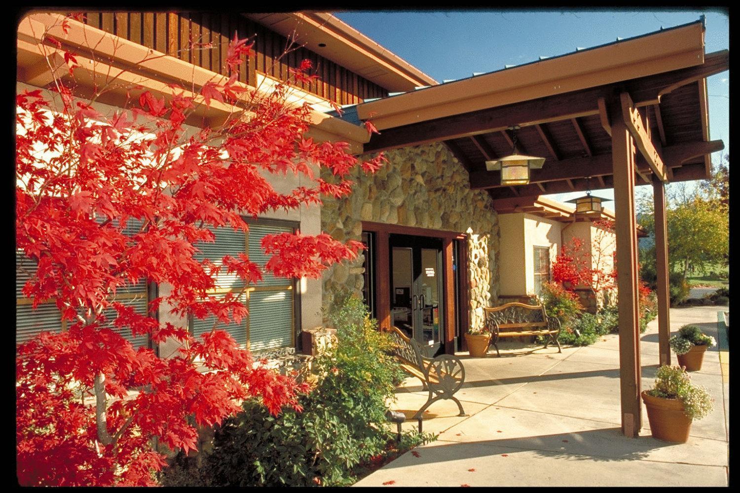 Resort Mount Shasta Resort