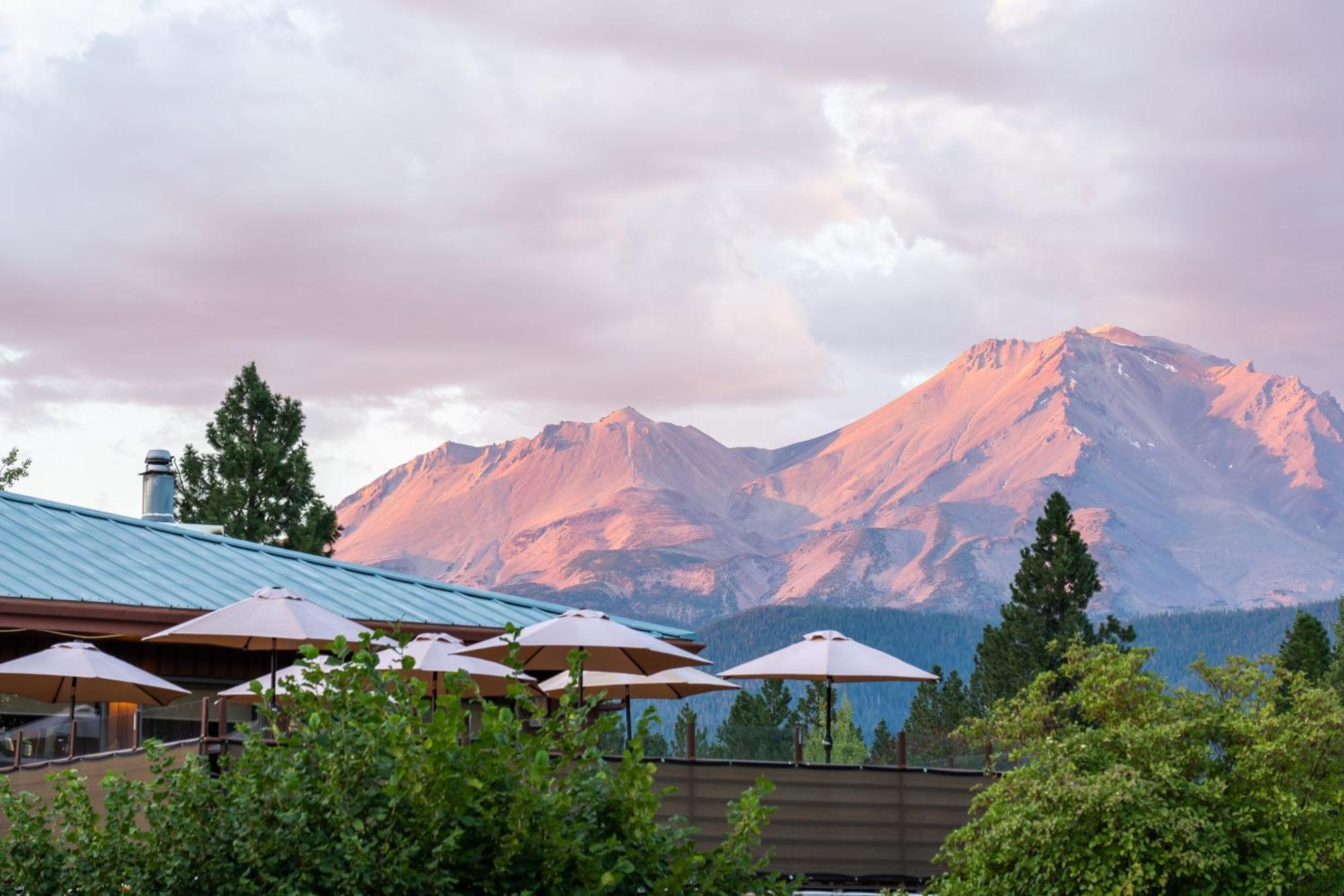 Resort Mount Shasta Resort