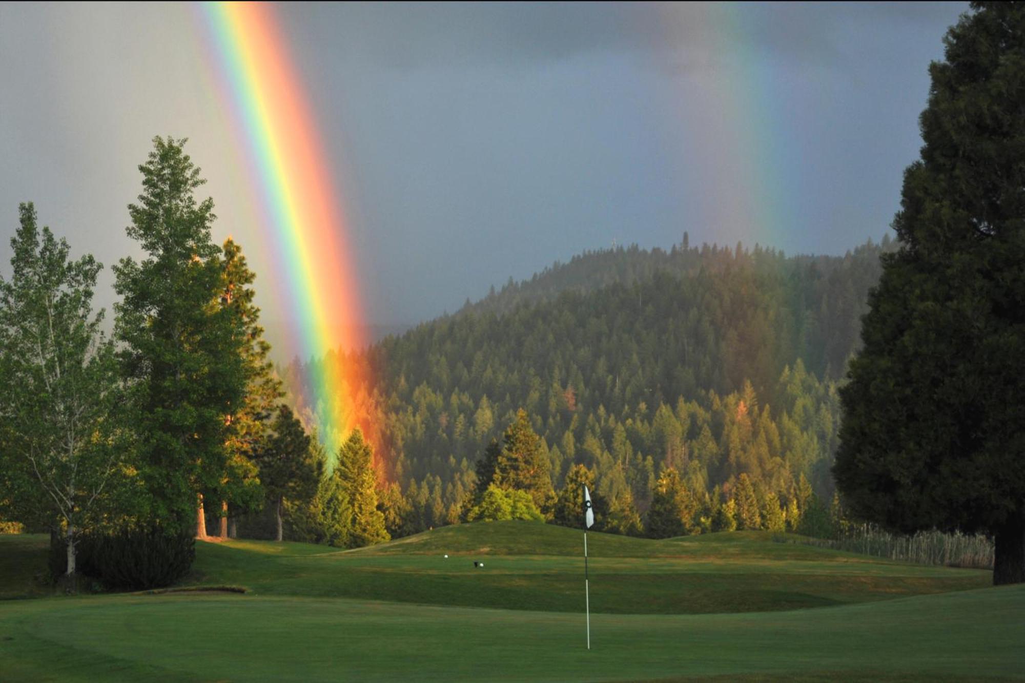 Resort Mount Shasta Resort