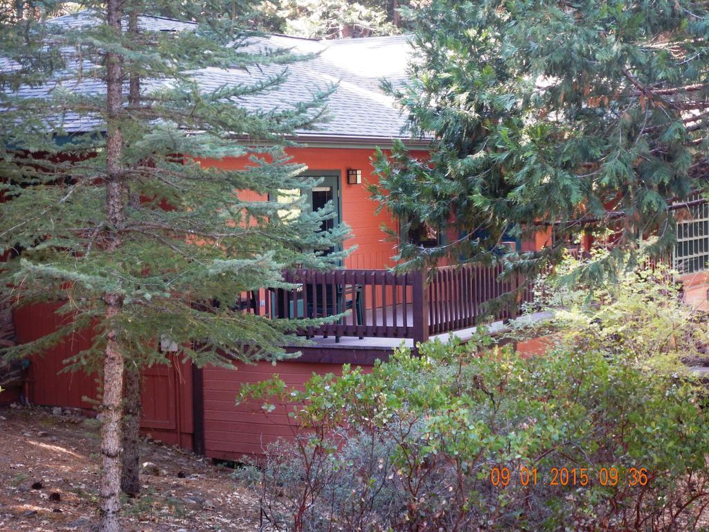 Mount Shasta Resort Mount Shasta