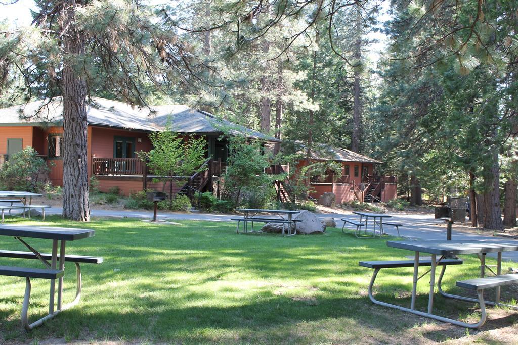 Resort Mount Shasta Resort