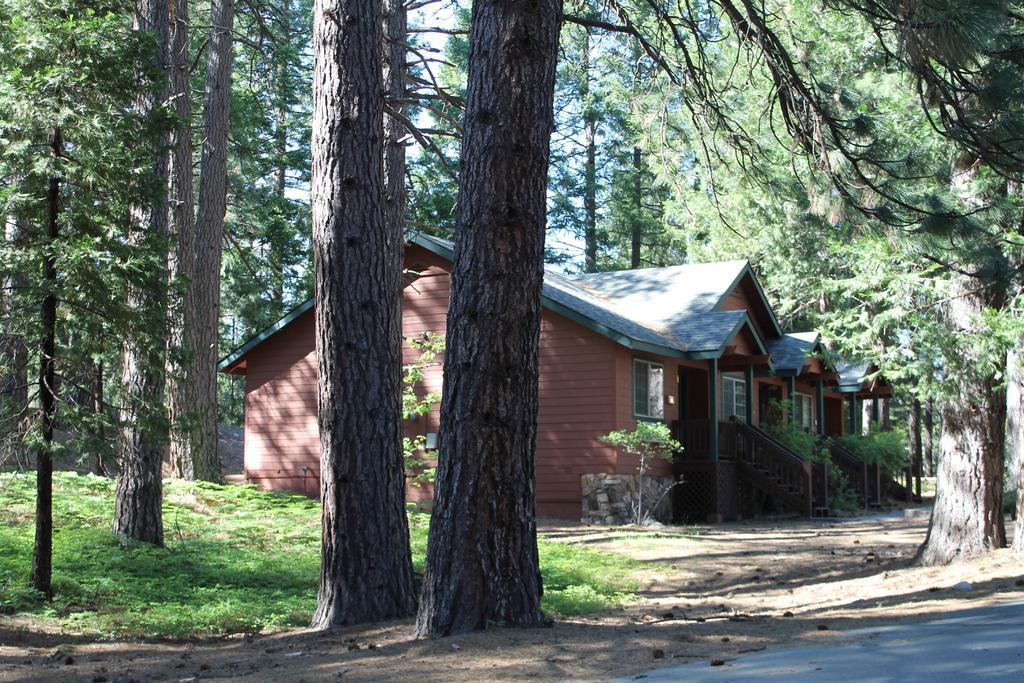 Mount Shasta Resort 3*