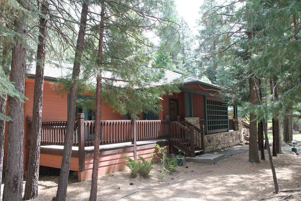 Resort Mount Shasta Resort